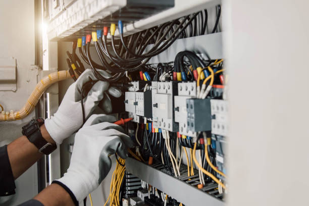 Best Electric Panel Repair  in Blue Grass, IA